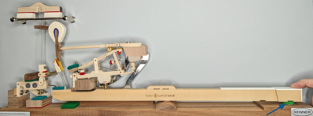 Détail mouche enfoncement